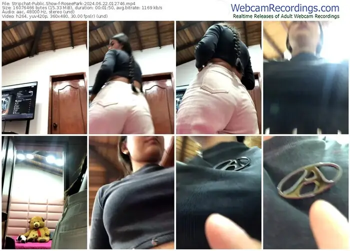 2024/06/22/stripchat-roseepark-01-27-46