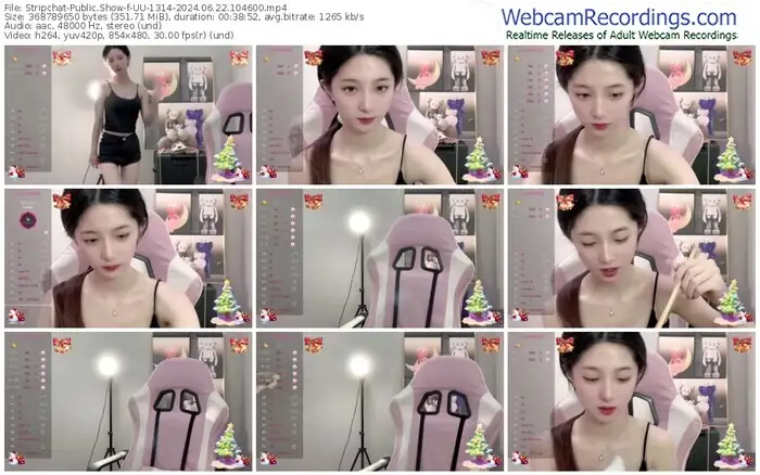 2024/06/22/stripchat-uu-1314-10-46-00