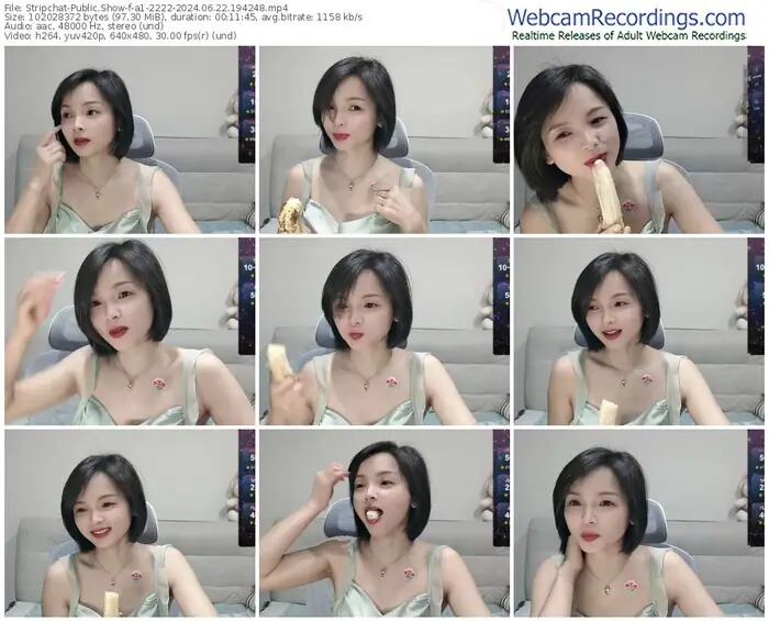 2024/06/22/stripchat-a1-2222-19-42-48