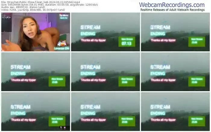2024/06/22/stripchat-lean_lie8-06-56-42