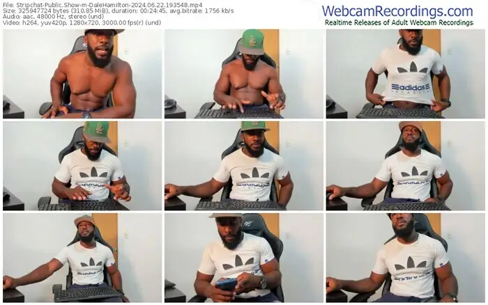 2024/06/22/stripchat-dalehamilton-19-35-48