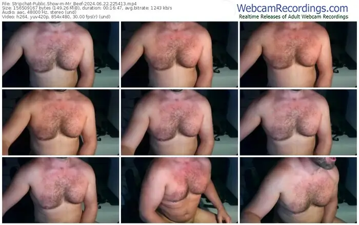 2024/06/22/stripchat-mr_beef-22-54-13