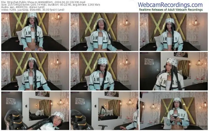 2024/06/22/stripchat-wanhedas_-10-13-30