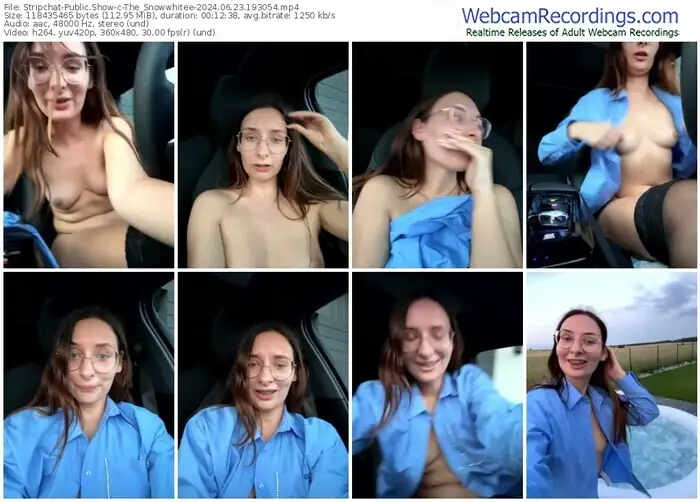 2024/06/23/stripchat-the_snowwhitee-19-30-54