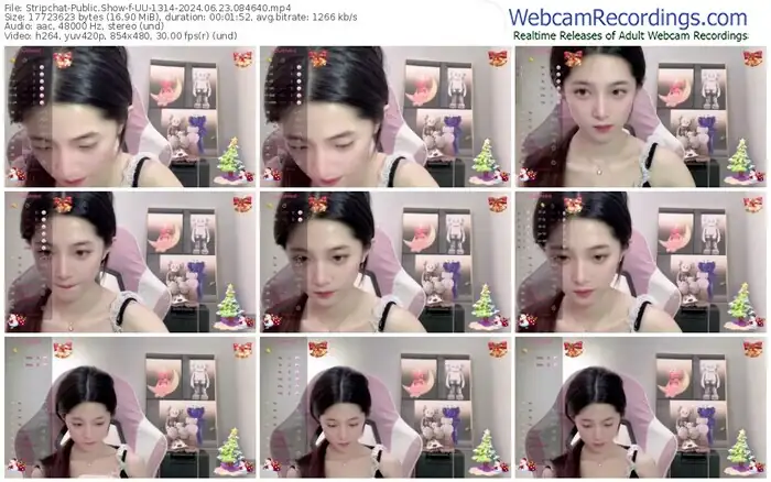 2024/06/23/stripchat-uu-1314-08-46-40