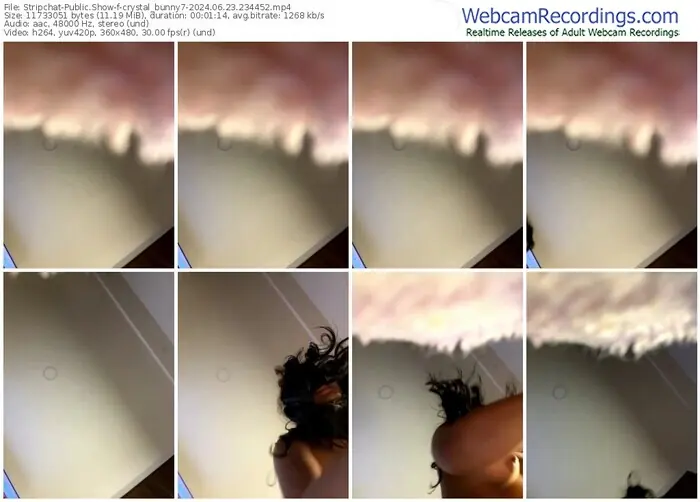 2024/06/23/stripchat-crystal_bunny7-23-44-52