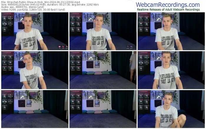 2024/06/23/stripchat-nick_win-12-29-32