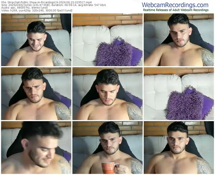 2024/06/23/stripchat-ricardogo19-02-35-17