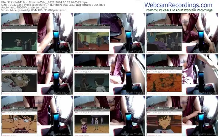 2024/06/23/stripchat-zyn__0322-04-05-15