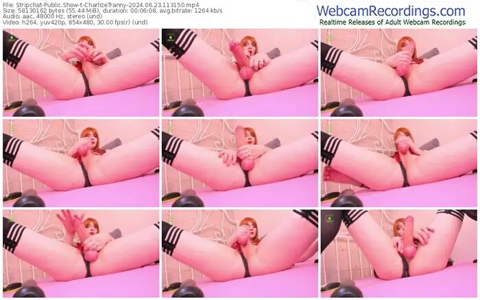 2024/06/23/stripchat-charlizetranny-11-31-50