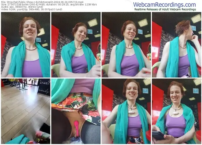 2024/06/24/stripchat-exhibitionsplit-09-57-19