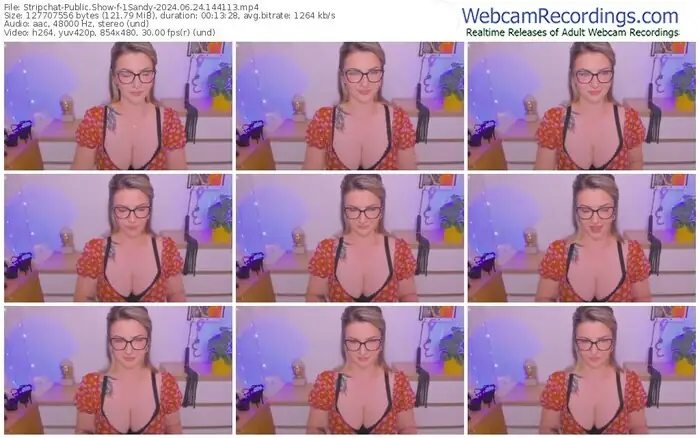 2024/06/24/stripchat-1sandy-14-41-13