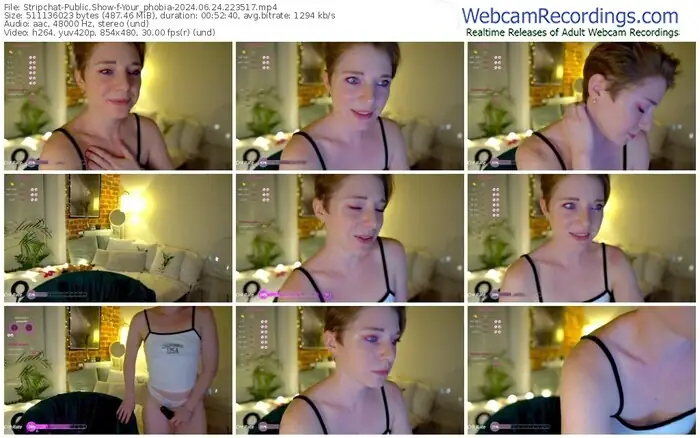 2024/06/24/stripchat-your_phobia-22-35-17