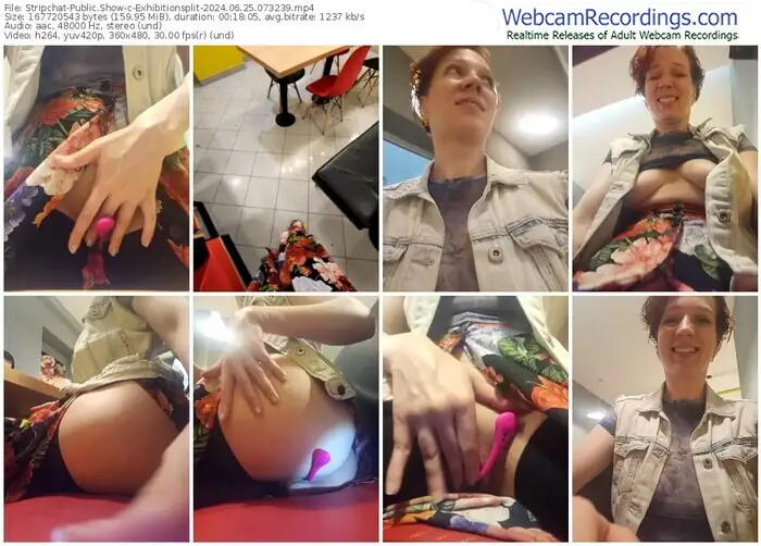 2024/06/25/stripchat-exhibitionsplit-07-32-39