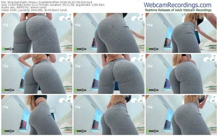 2024/06/25/stripchat-scarlettandtom-18-13-24