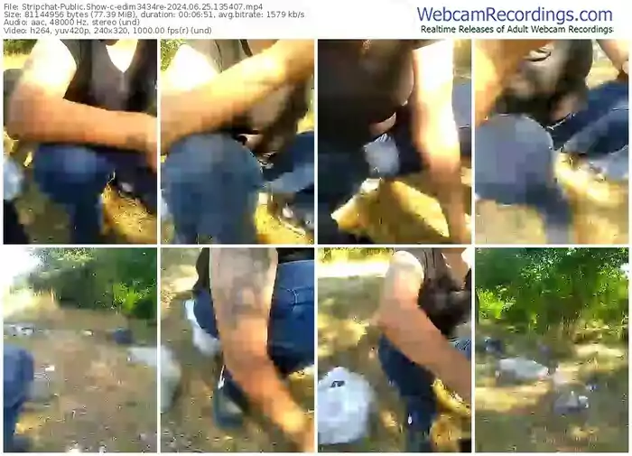 2024/06/25/stripchat-edim3434re-13-54-07