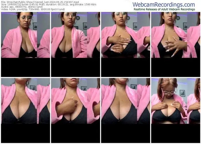 2024/06/25/stripchat-seized_lust-15-43-07