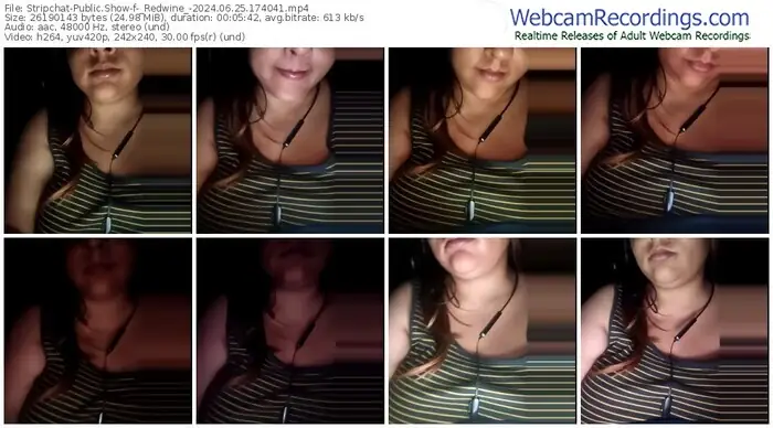 2024/06/25/stripchat-_redwine_-17-40-41