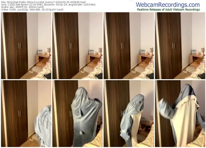 2024/06/25/stripchat-crystal_bunny7-00-28-39