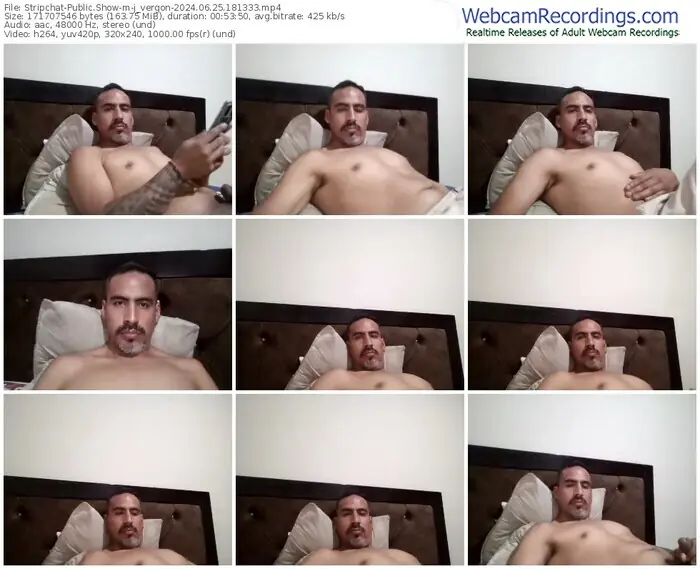 2024/06/25/stripchat-j_vergon-18-13-33