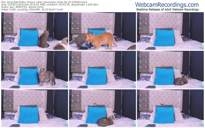 2024/06/25/stripchat-valen_thompson-22-09-06