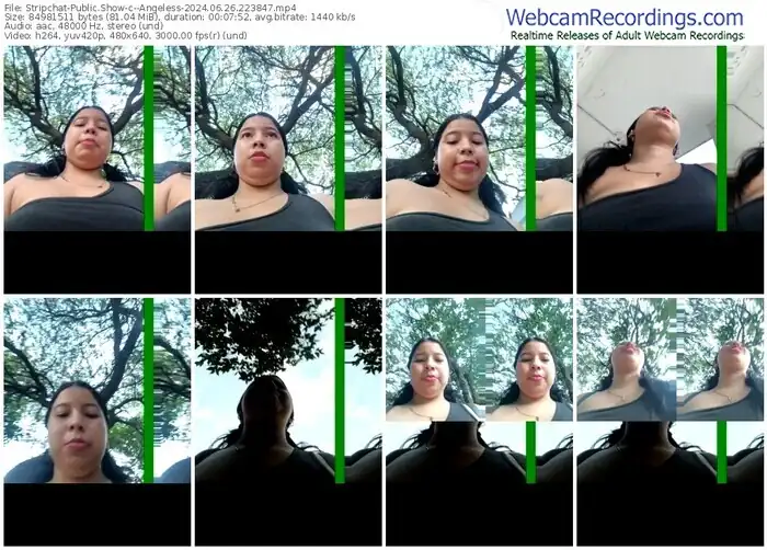 2024/06/26/stripchat--angeless-22-38-47