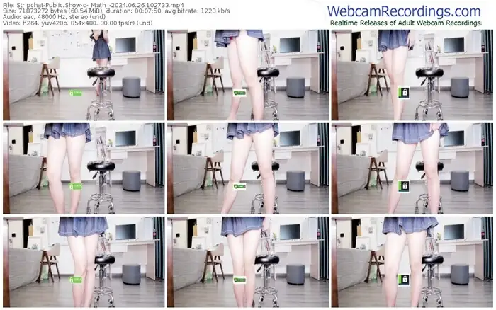 2024/06/26/stripchat-_math_-10-27-33