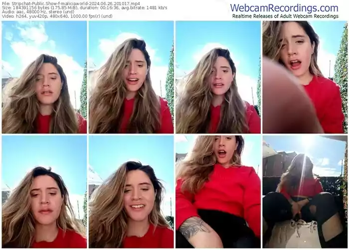 2024/06/26/stripchat-maliciaworld-20-10-17