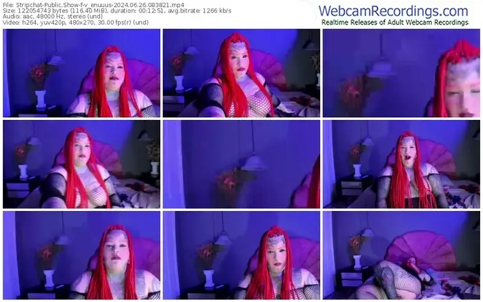 2024/06/26/stripchat-v_enuuus-08-38-21