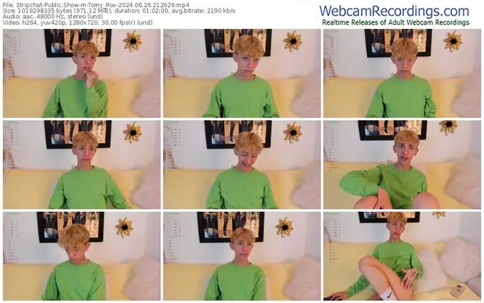 2024/06/26/stripchat-tomy_rox-21-26-29