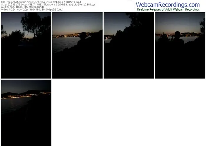 2024/06/27/stripchat-3luveguclu-18-15-39