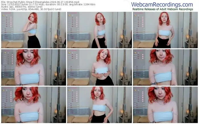 2024/06/27/stripchat-sheenaades-16-18-54