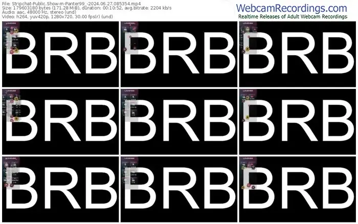 2024/06/27/stripchat-panter99_-08-53-54