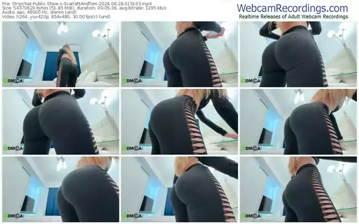 2024/06/28/stripchat-scarlettandtom-01-51-03