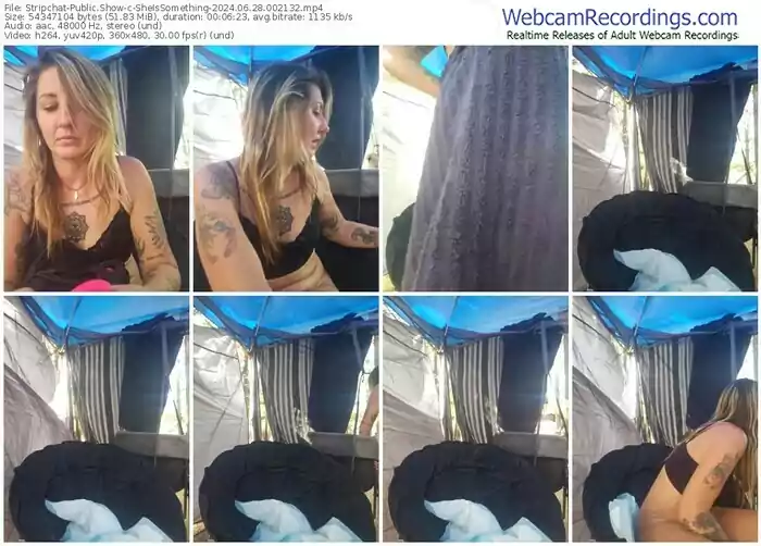 2024/06/28/stripchat-sheissomething-00-21-32