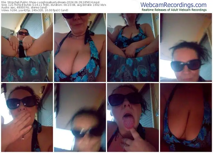 2024/06/28/stripchat-vogliosabustydream-18-56-14