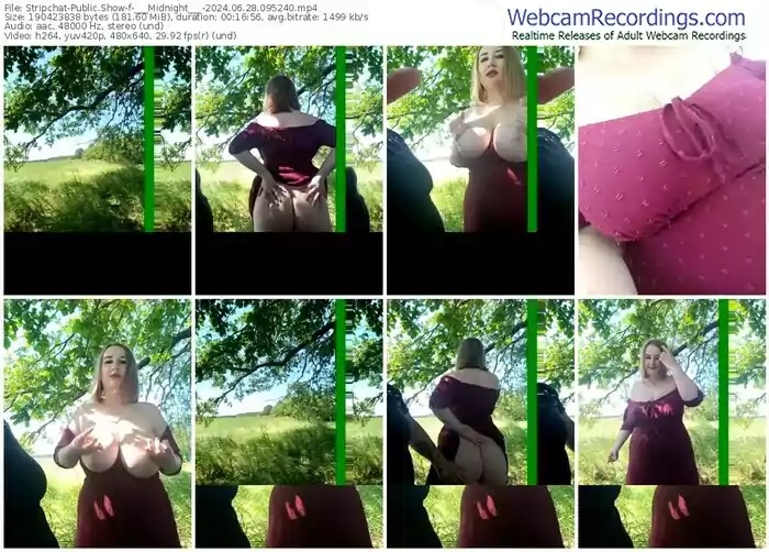 2024/06/28/stripchat-___midnight___-09-52-40