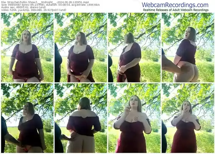 2024/06/28/stripchat-___midnight___-12-09-51