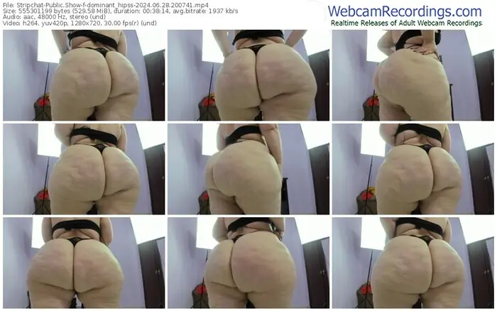 2024/06/28/stripchat-dominant_hipss-20-07-41