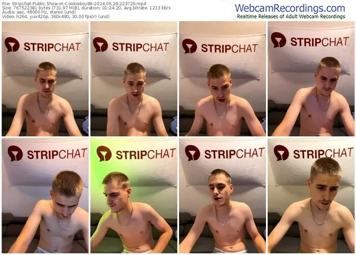 2024/06/28/stripchat-cookieboy88-22-37-26