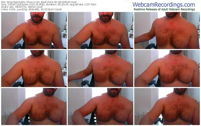 2024/06/28/stripchat-mr_beef-09-49-24