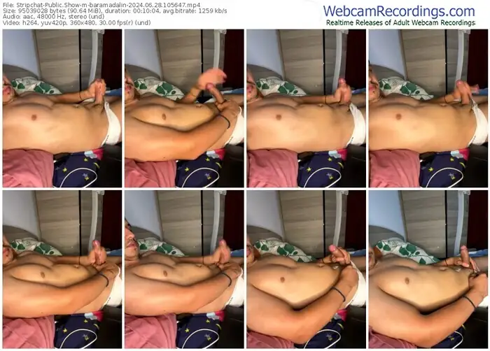 2024/06/28/stripchat-baramadalin-10-56-47