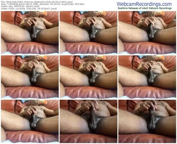 2024/06/28/stripchat-okaono20-11-09-31