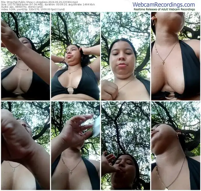 2024/06/29/stripchat--angeless-22-03-04