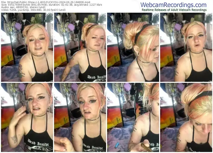 2024/06/29/stripchat-1-800-fuckyou-18-48-06