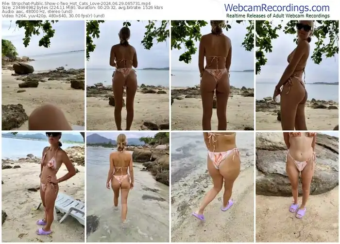 2024/06/29/stripchat-two_hot_cats_love-06-57-31