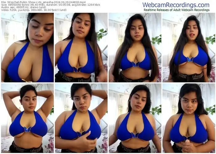 2024/06/29/stripchat-its_amesha-04-48-30