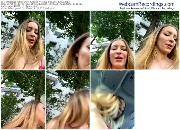 2024/06/29/stripchat-adelleinne-10-30-53
