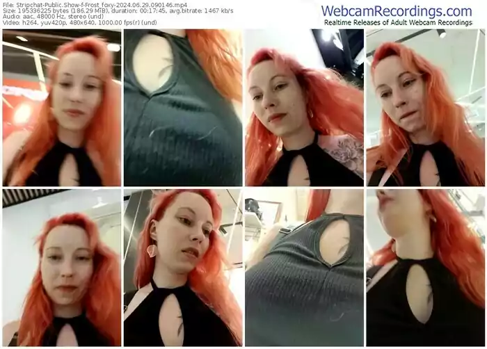 2024/06/29/stripchat-frost_foxy-09-01-46