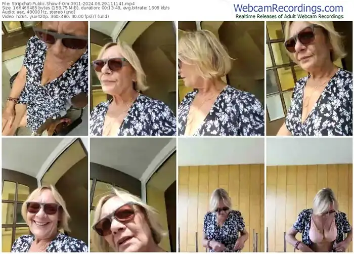 2024/06/29/stripchat-omi0911-11-11-41